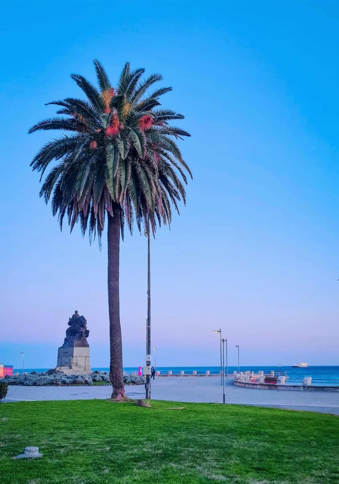 Tramonto Sul Mare - Sea Suite Savona Exterior photo